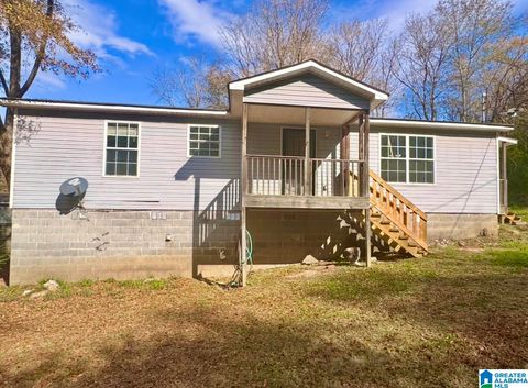 132 LOLA STREET SPRINGVILLE AL 35146