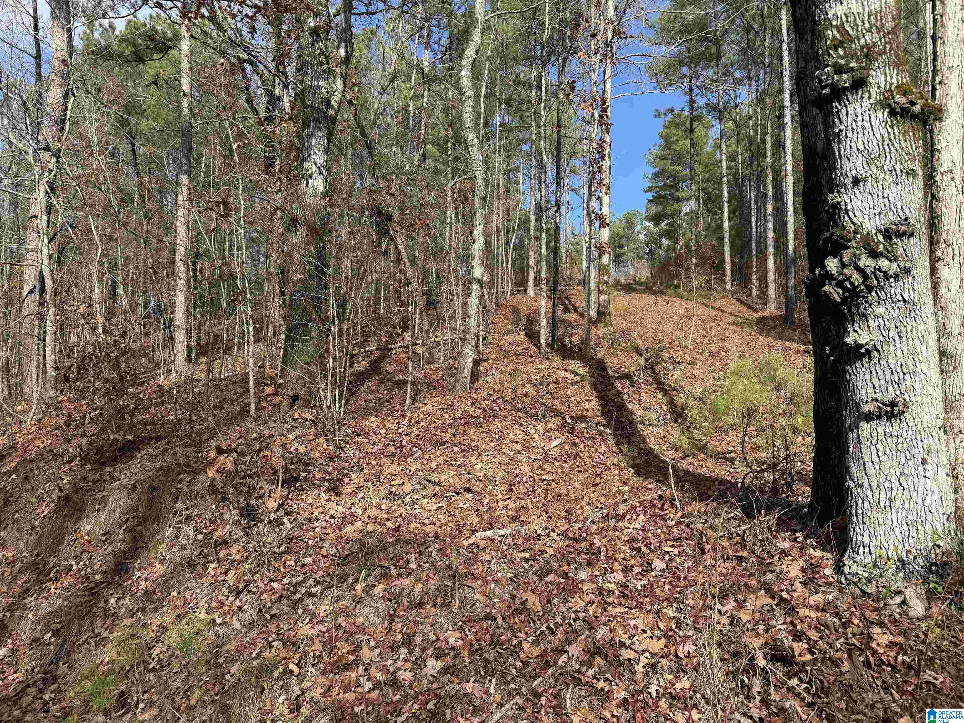 680 SWEET APPLE ROAD 1