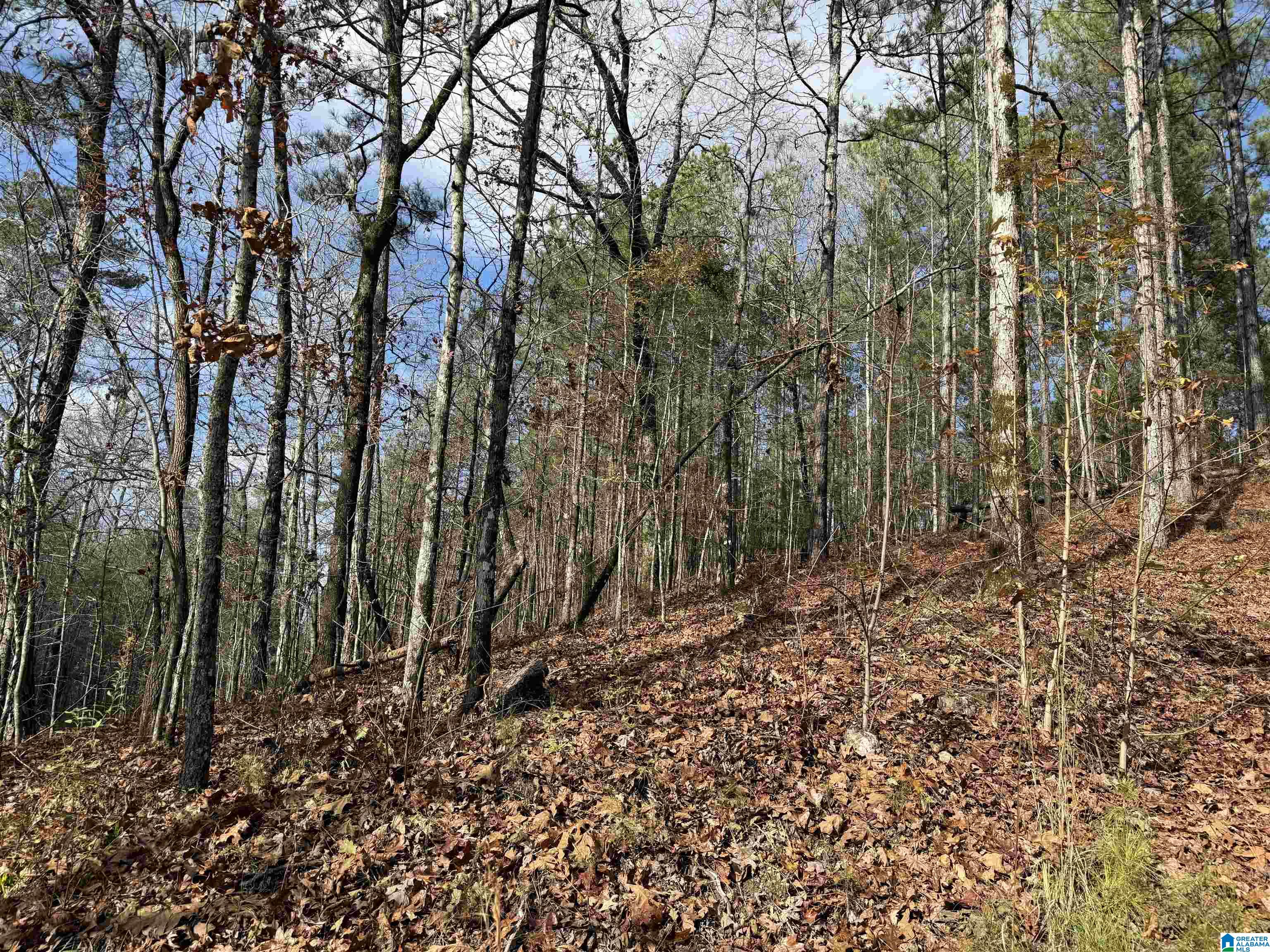 680 SWEET APPLE ROAD 1