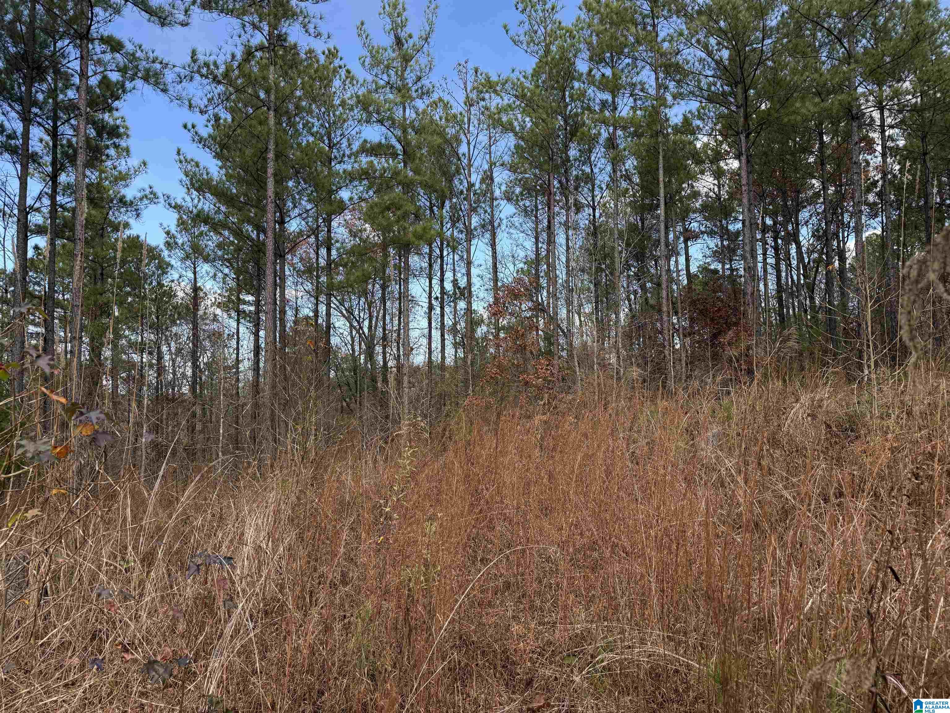 680 SWEET APPLE ROAD 1