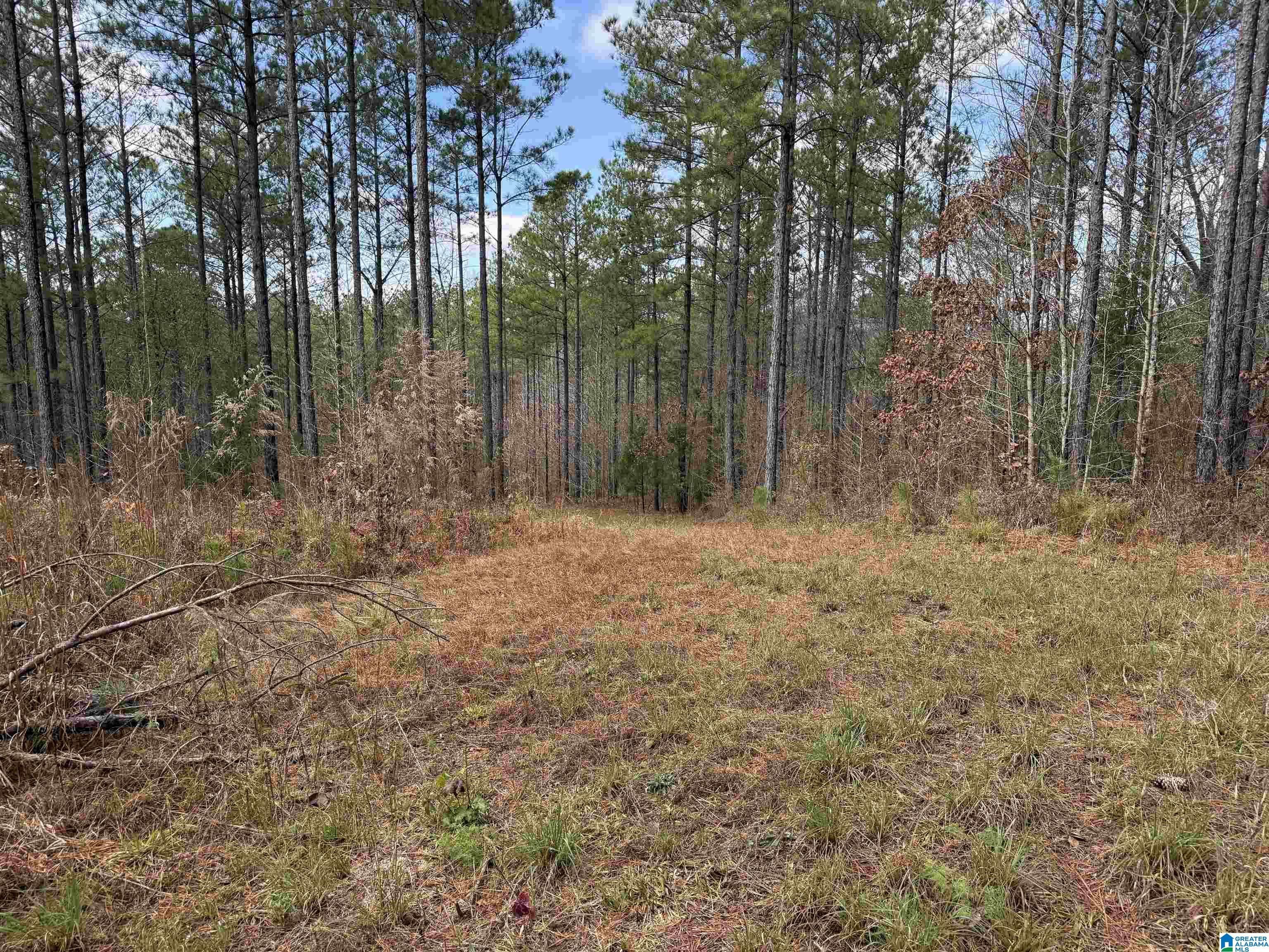 680 SWEET APPLE ROAD 1