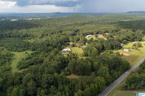 4255 KELLY CREEK ROAD ODENVILLE AL 35120