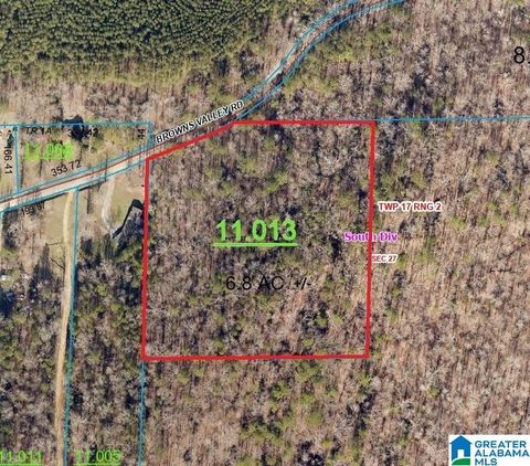 0 BROWNS VALLEY ROAD 0 PELL CITY AL 35128