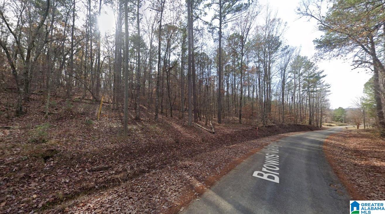 0 BROWNS VALLEY ROAD 0