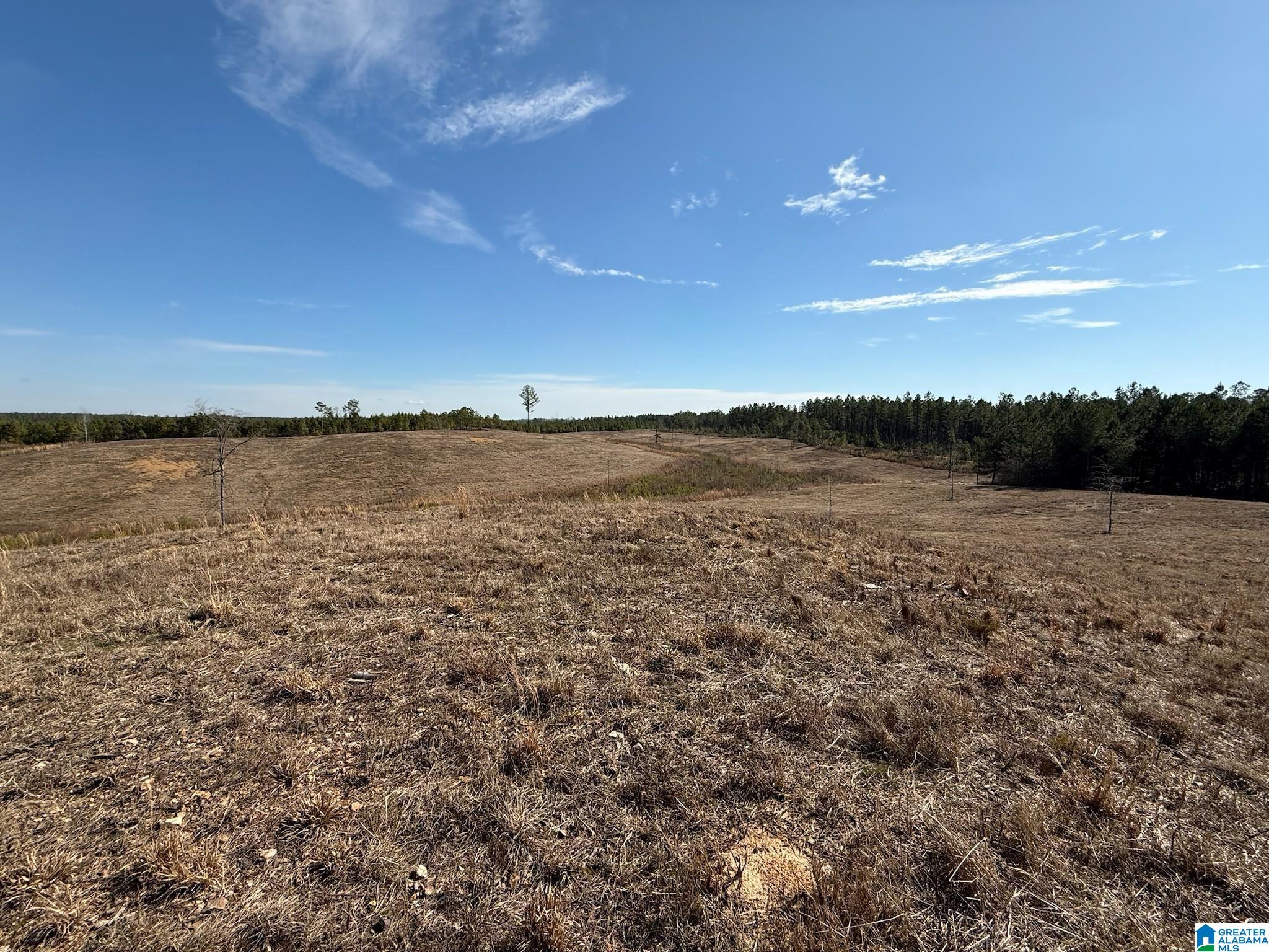 561 LAKEWOOD DRIVE 1