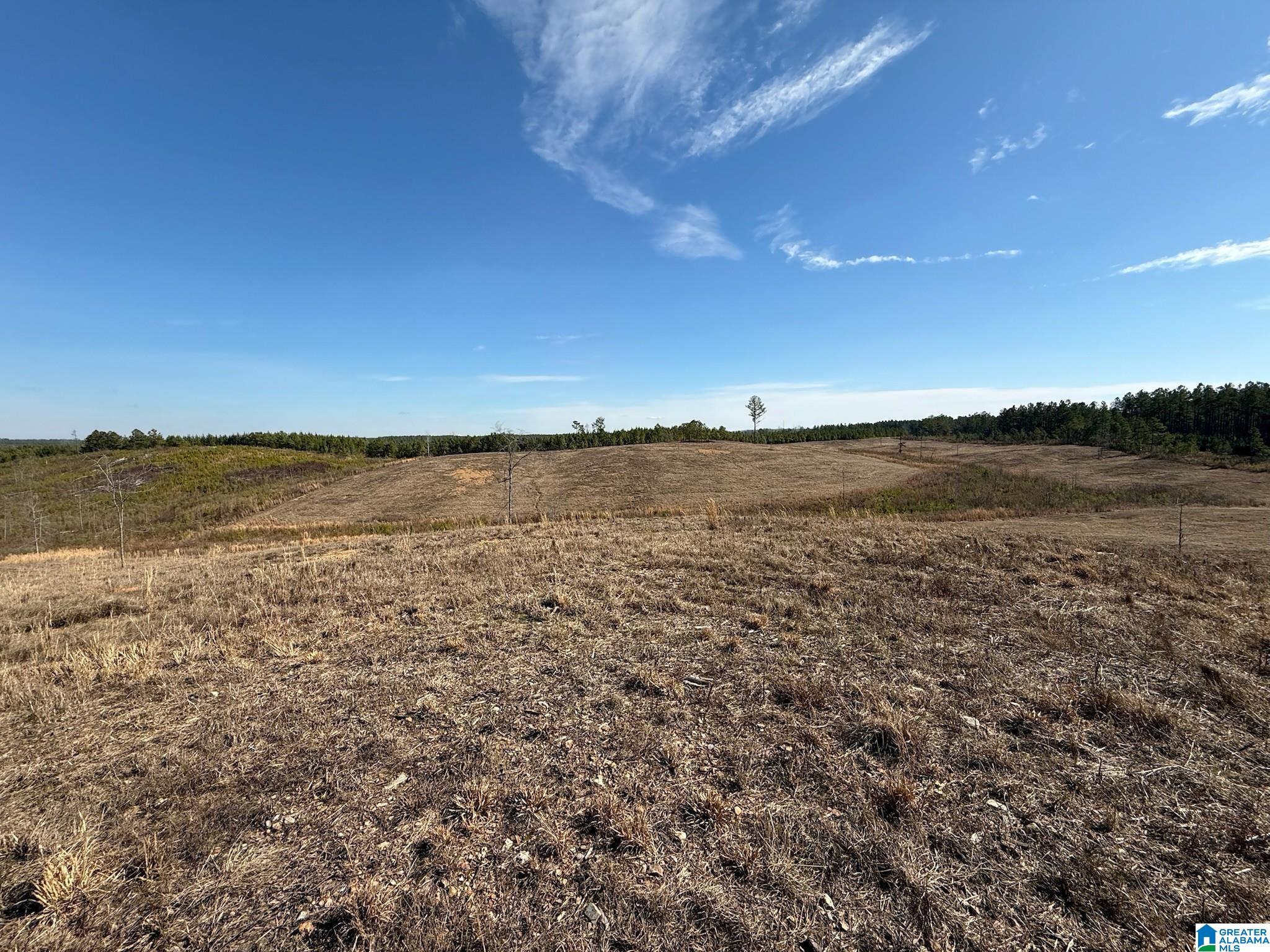 561 LAKEWOOD DRIVE 1