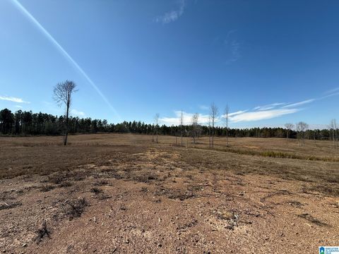 561 LAKEWOOD DRIVE 1 COLUMBIANA AL 35051