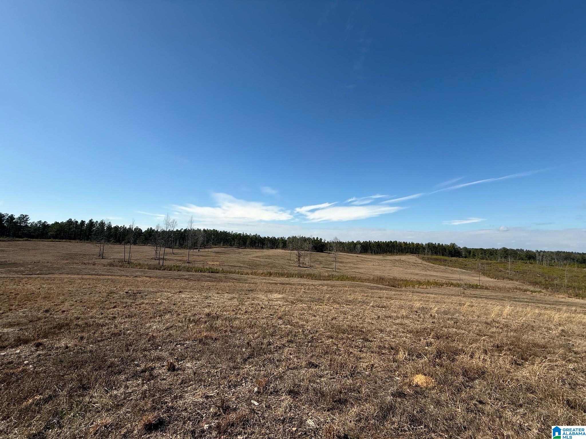 561 LAKEWOOD DRIVE 1