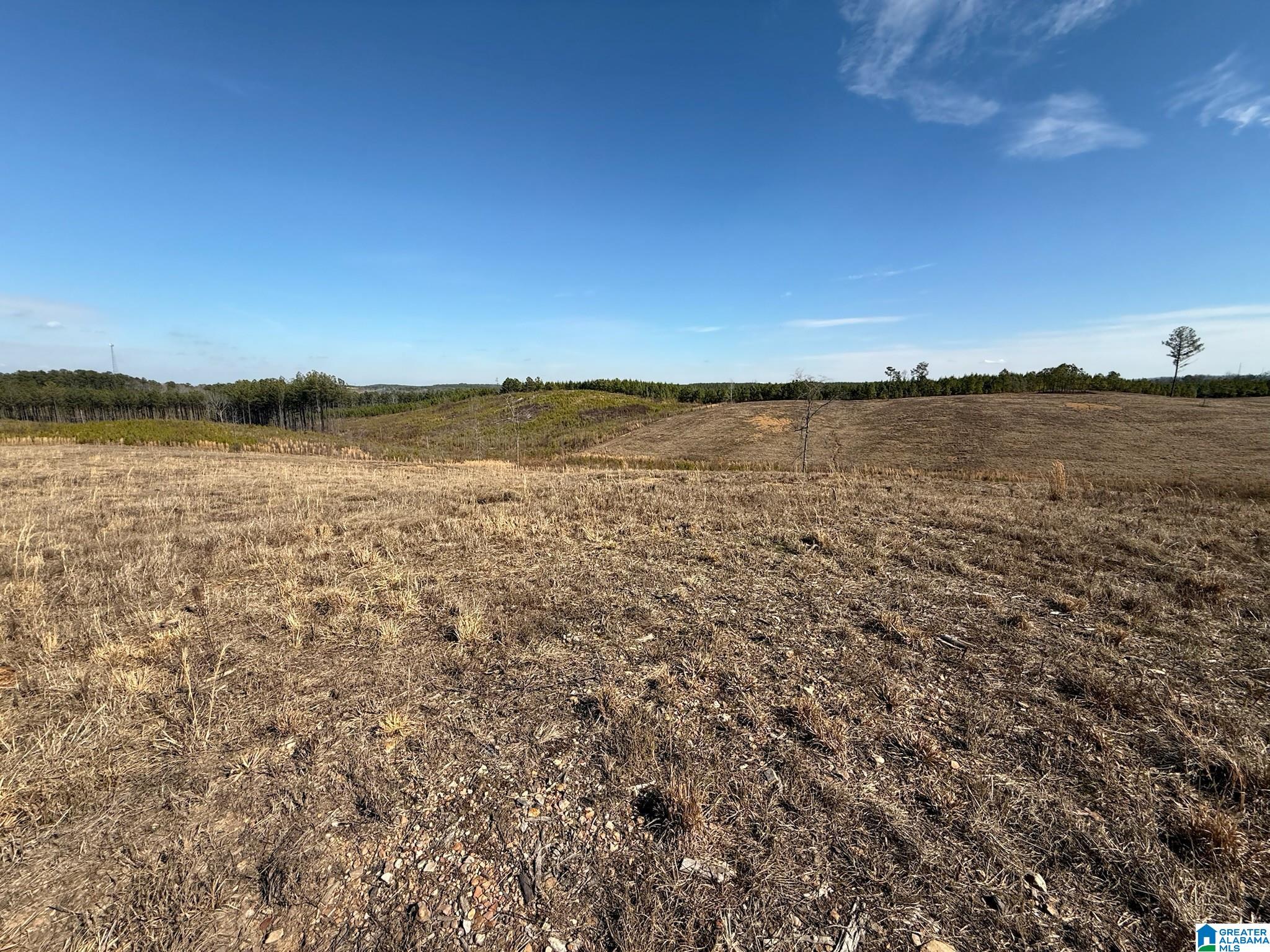 561 LAKEWOOD DRIVE 1