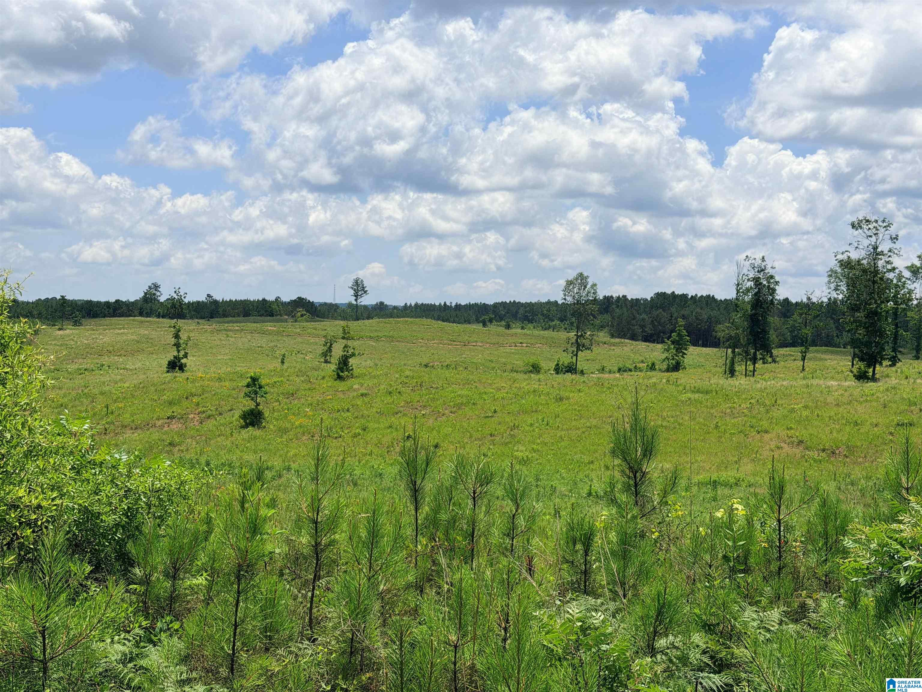 Photo 1 of 38 — 561 LAKEWOOD DRIVE 1, COLUMBIANA, AL 35051