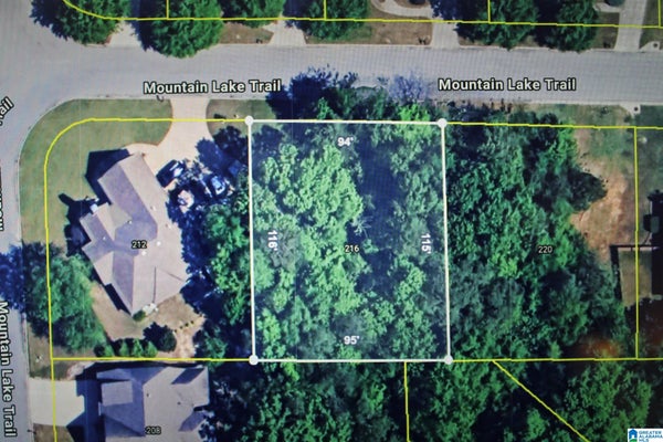 216 MOUNTAIN LAKE TRL # 32, ALABASTER, AL 35007 - Image 8ace8399fc5c8d3c3aab5aef3cc0bf5a/3380998684