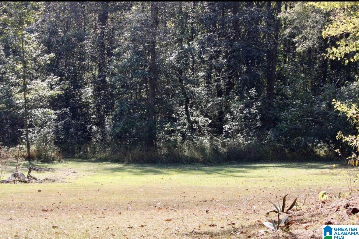 1333 FROG LEVEL ROAD