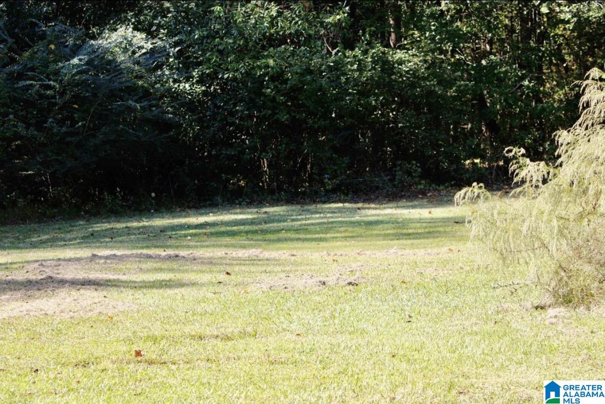 1333 FROG LEVEL ROAD