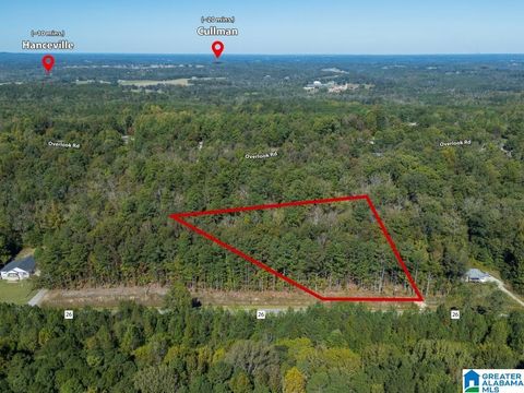 15874 COUNTY HIGHWAY 26 21 BLOUNTSVILLE AL 35031