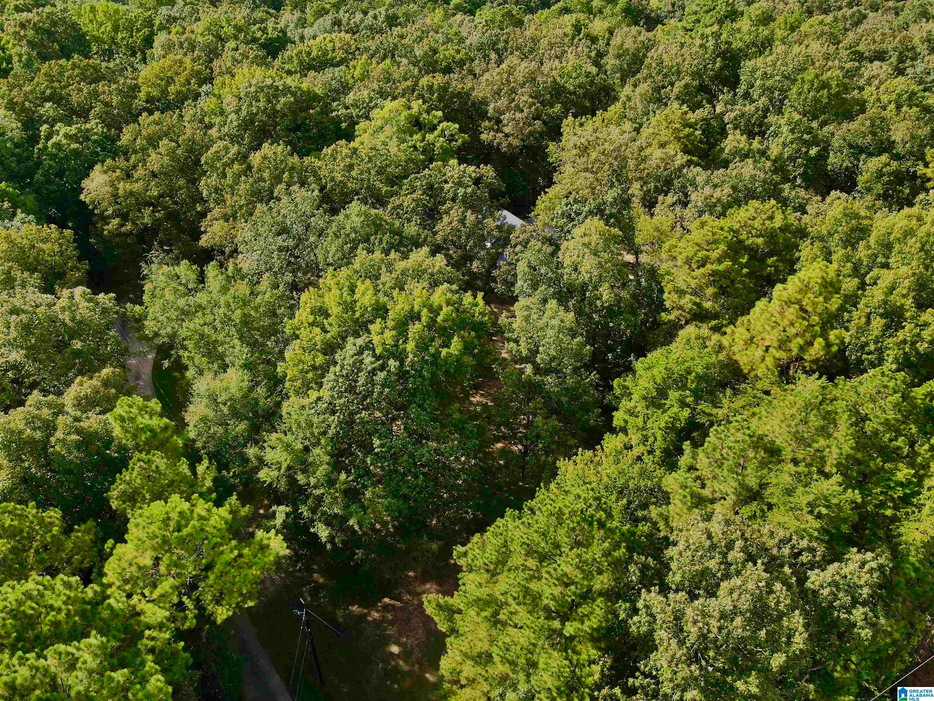 5440 CALDWELL MILL ROAD