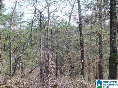 0000 COGSWELL AVENUE vacant 61+- acres PELL CITY AL 35125