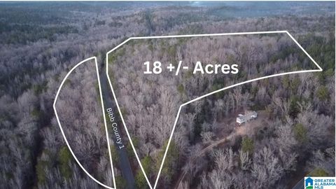 COUNTY ROAD 1 1 BRENT AL 35042