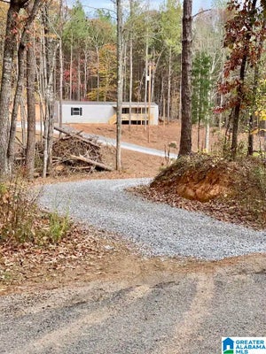 13775 COUNTY ROAD 895, LINEVILLE, AL 36266 - Image 8cf38ae64ea5c3b77e2b6846fd3ec138/244385173
