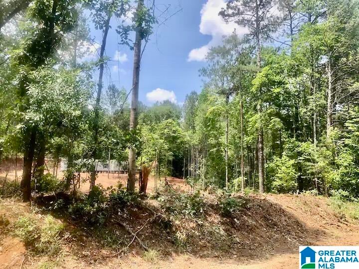 13775 COUNTY ROAD 895