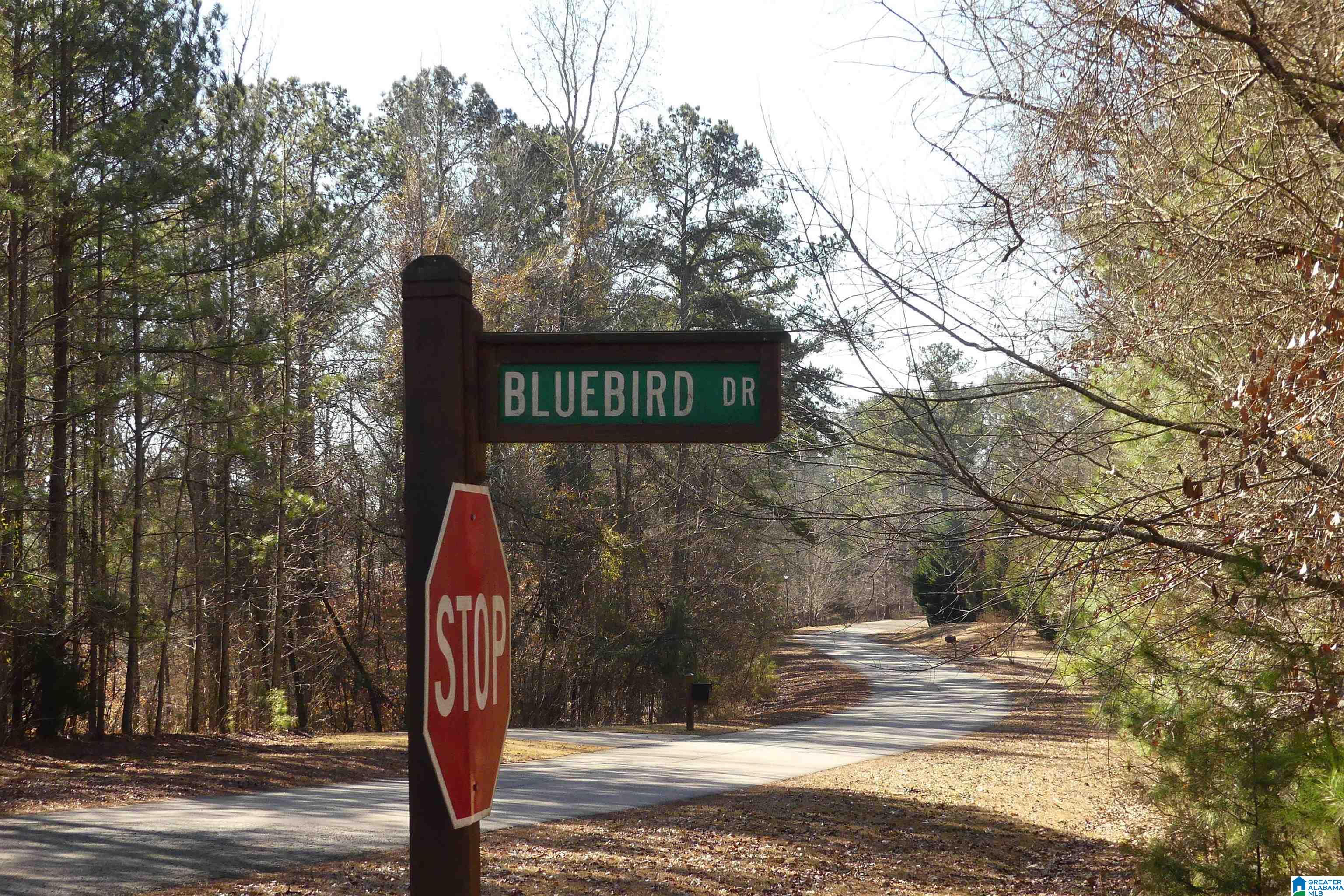 Lot 67 BLUE BIRD DRIVE 67