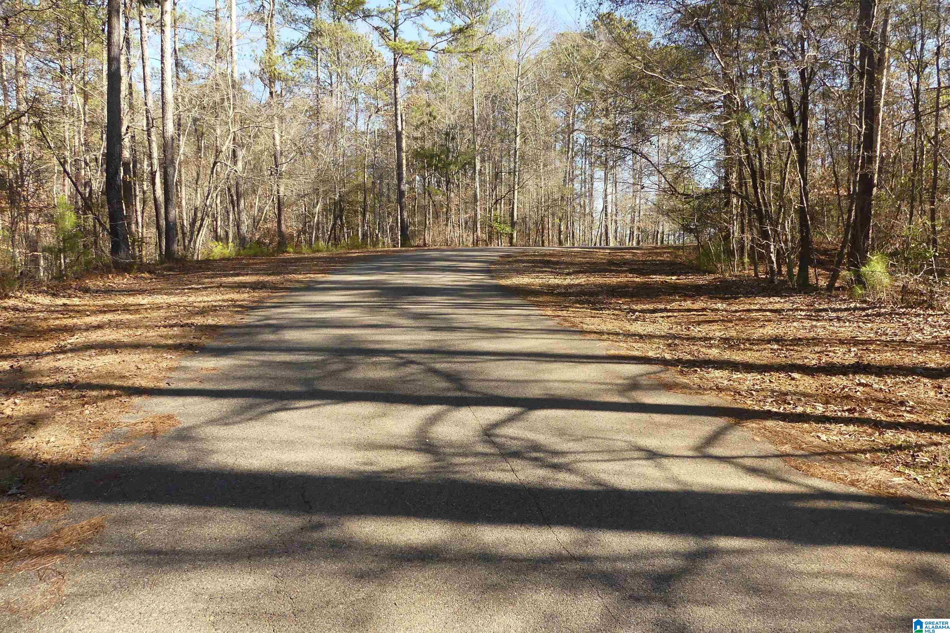 Lot 67 BLUE BIRD DRIVE 67