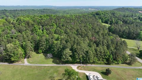 0 OLD SAWMILL ROAD 1.72+/- aCRES MOODY AL 35004