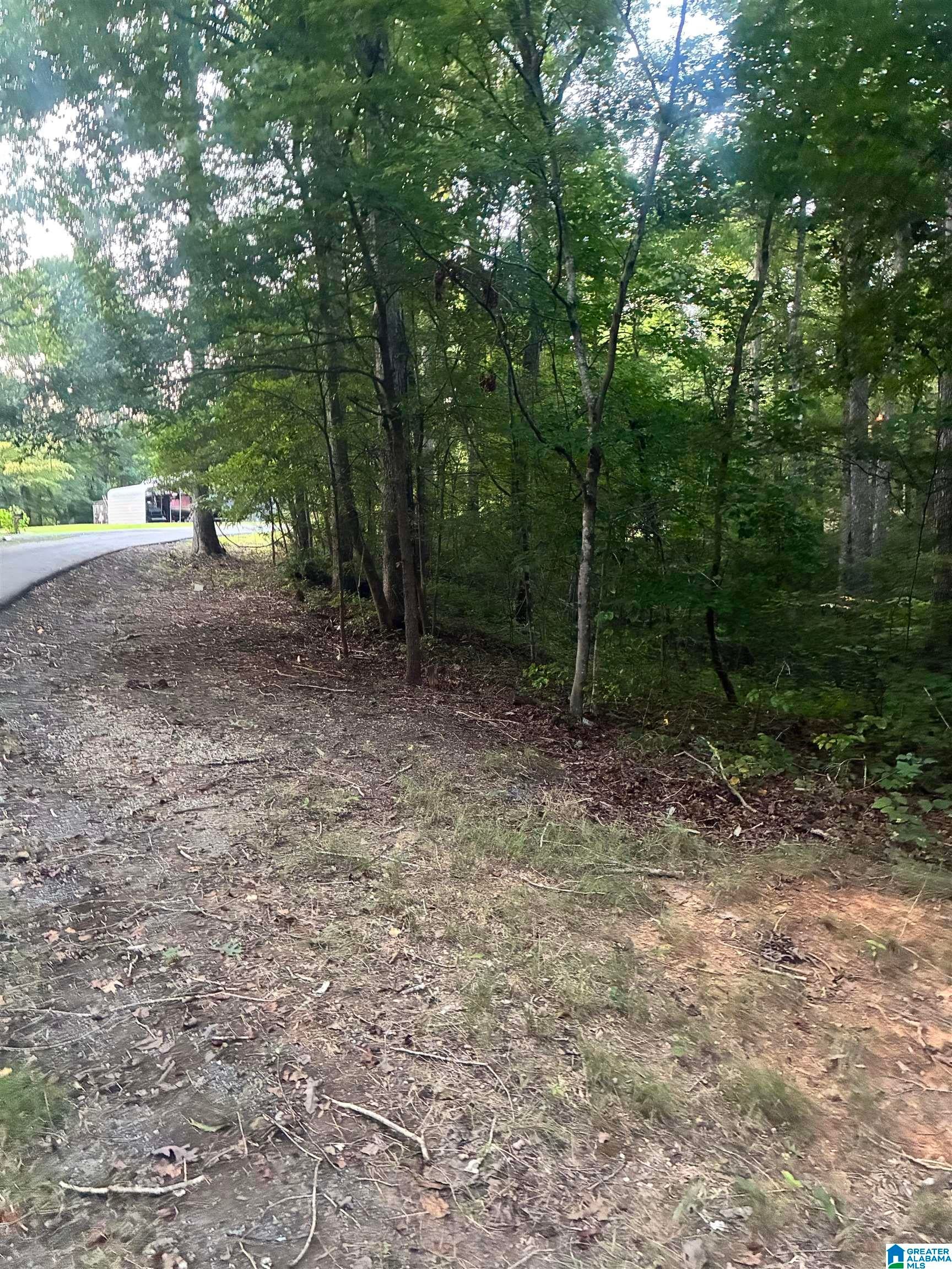 1119 SHORTOWN BRANCH ROAD 4 acres
