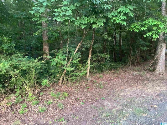 1119 SHORTOWN BRANCH RD # 4, BESSEMER, AL 35023 - Image 8d8d38cdc01b0713edddaf9f30b2cdac/1881357053