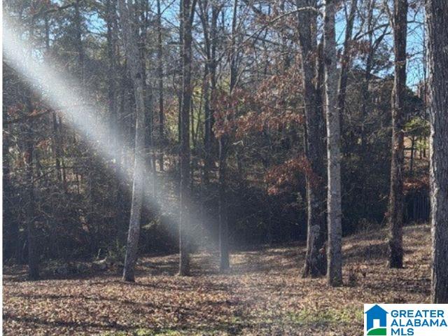 316 STERLING MANOR CIRCLE 15