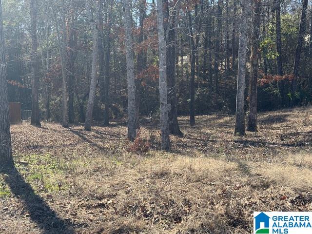 316 STERLING MANOR CIRCLE 15