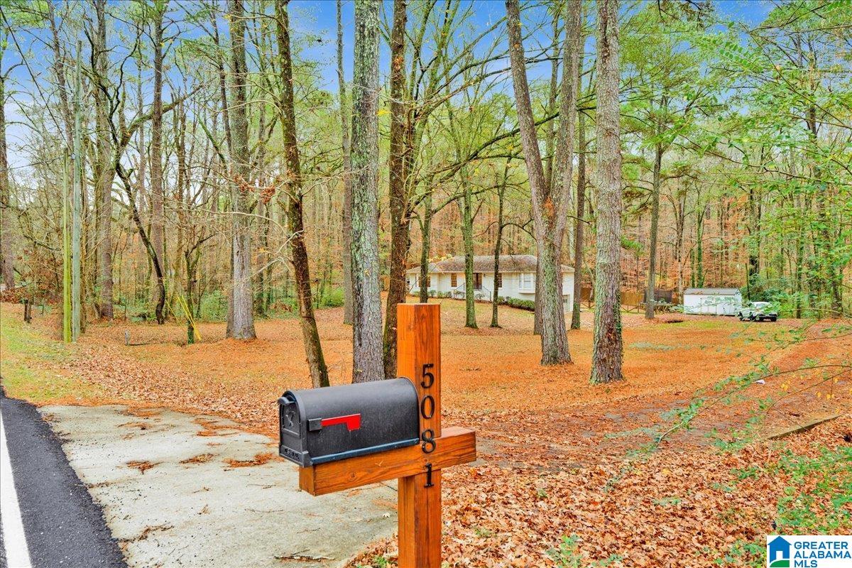 5081 TRUSSVILLE CLAY ROAD