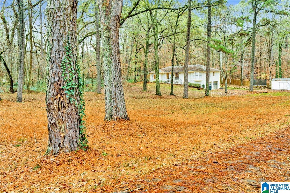 5081 TRUSSVILLE CLAY ROAD