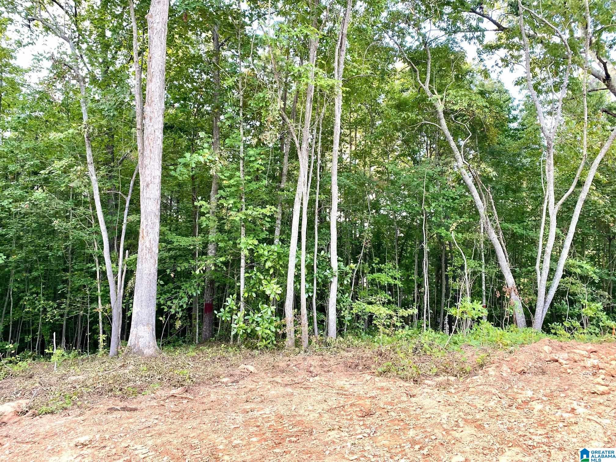 0 COUNTY ROAD 852 1