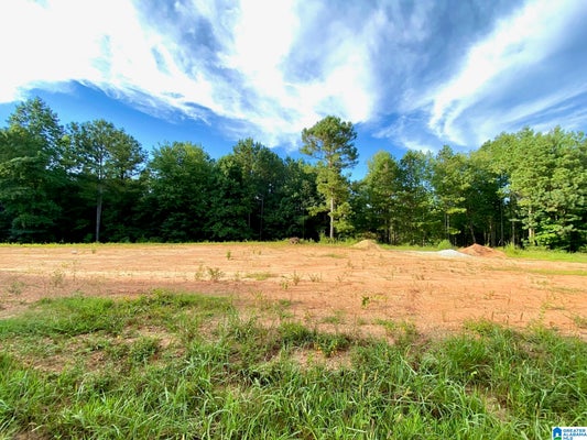 COUNTY RD 852, RANBURNE, AL 36273 - Image 8dd675e90af5dfebf016048a5da5bfed/405884589
