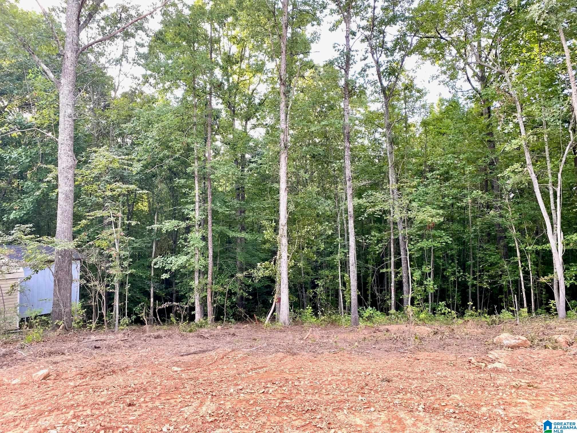 0 COUNTY ROAD 852 1