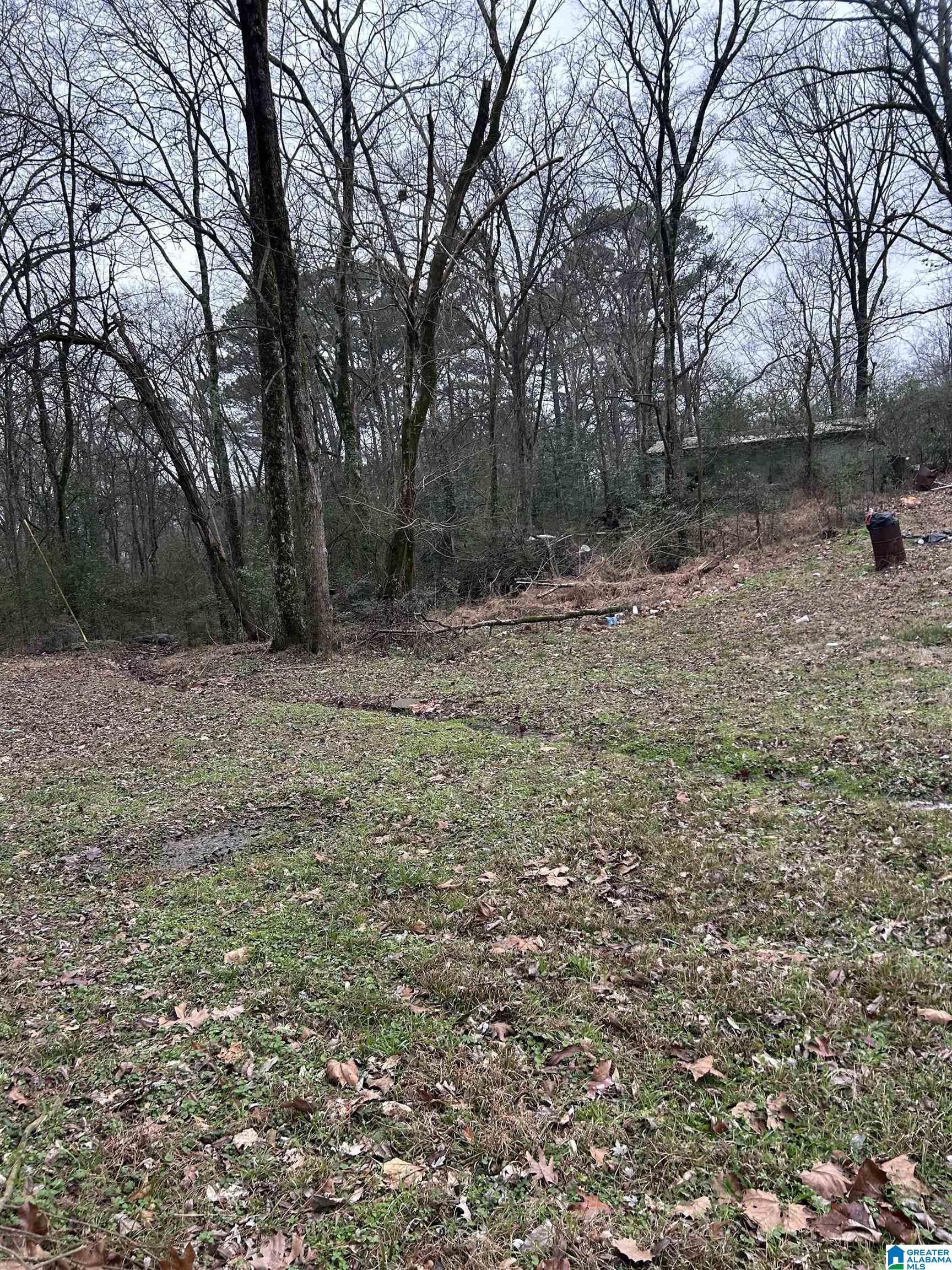 Photo 1 of 4 — 254 FLINT AVENUE 1, GARDENDALE, AL 35071