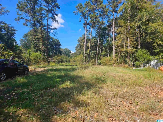 107 BROADLEAF DR # 90, TALLADEGA, AL 35160 - Image 8e91d012d7d7b1f858834186a0bf0280/1908194450