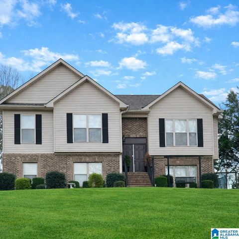 195 PIKE ROAD WOODSTOCK AL 35188