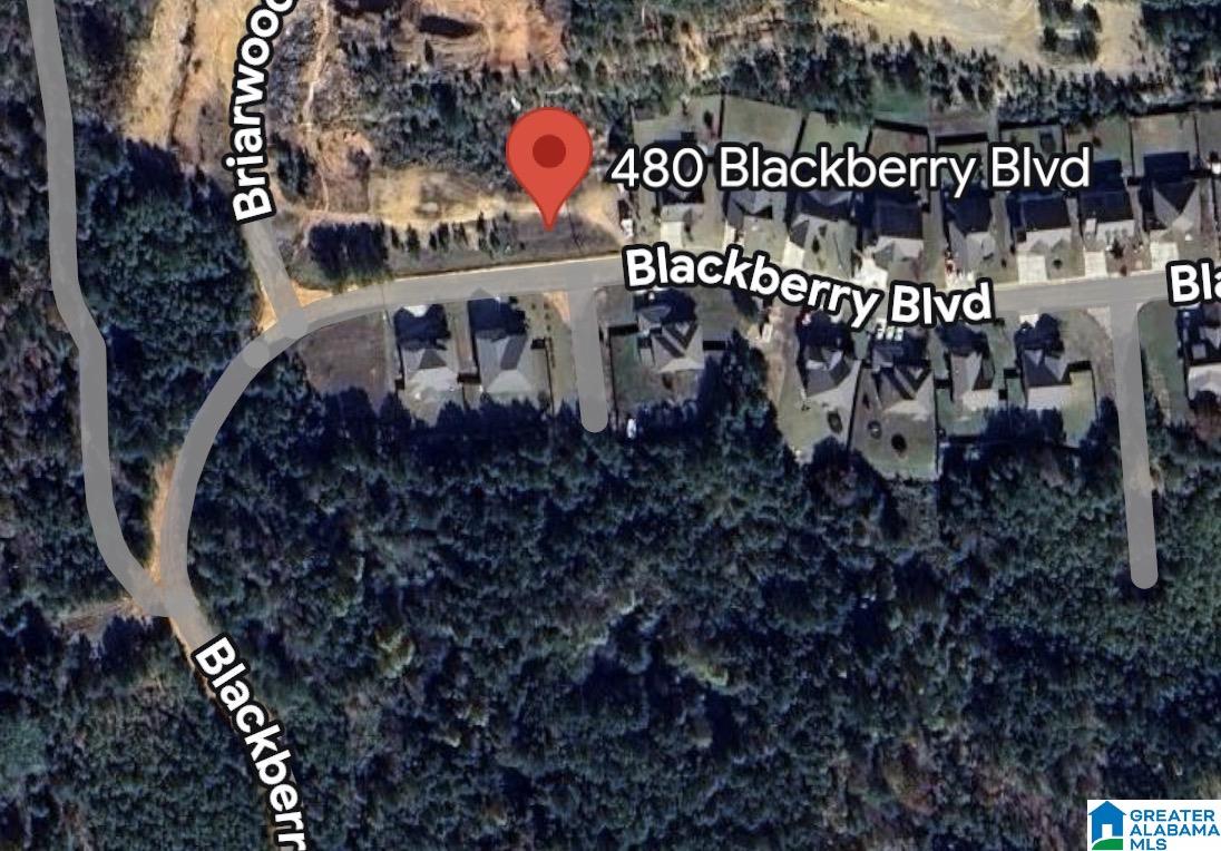 480 BLACKBERRY BOULEVARD