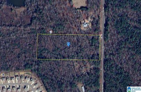 358 SAINT CLAIR ROAD 1 SPRINGVILLE AL 35146