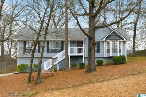 204 PORTSOUTH LANE ALABASTER AL 35007