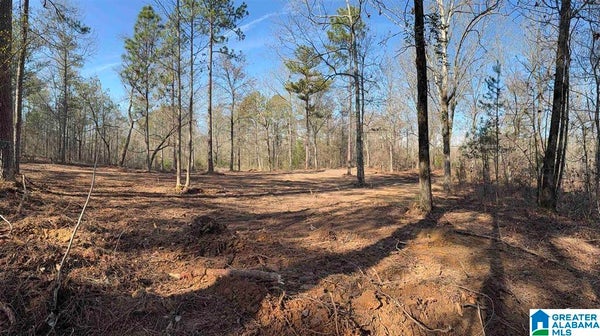 47 MCKESSIE ST, RIVERSIDE, AL 35135 - Image 8f8c8efee13f0643ae4d4e9dfa78a871/689090013