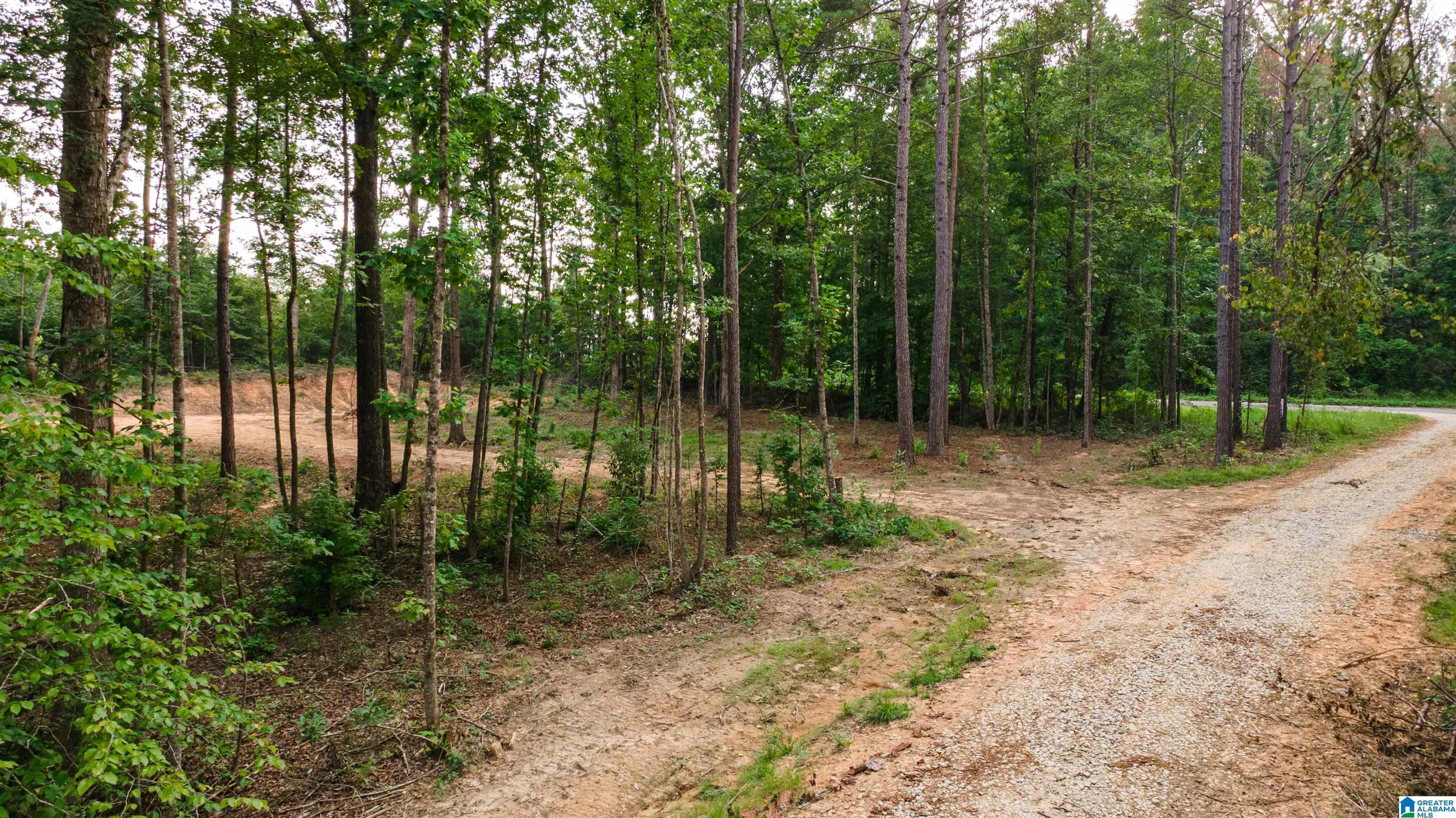 Tract 1 343 COUNTY ROAD 892 Tract 1