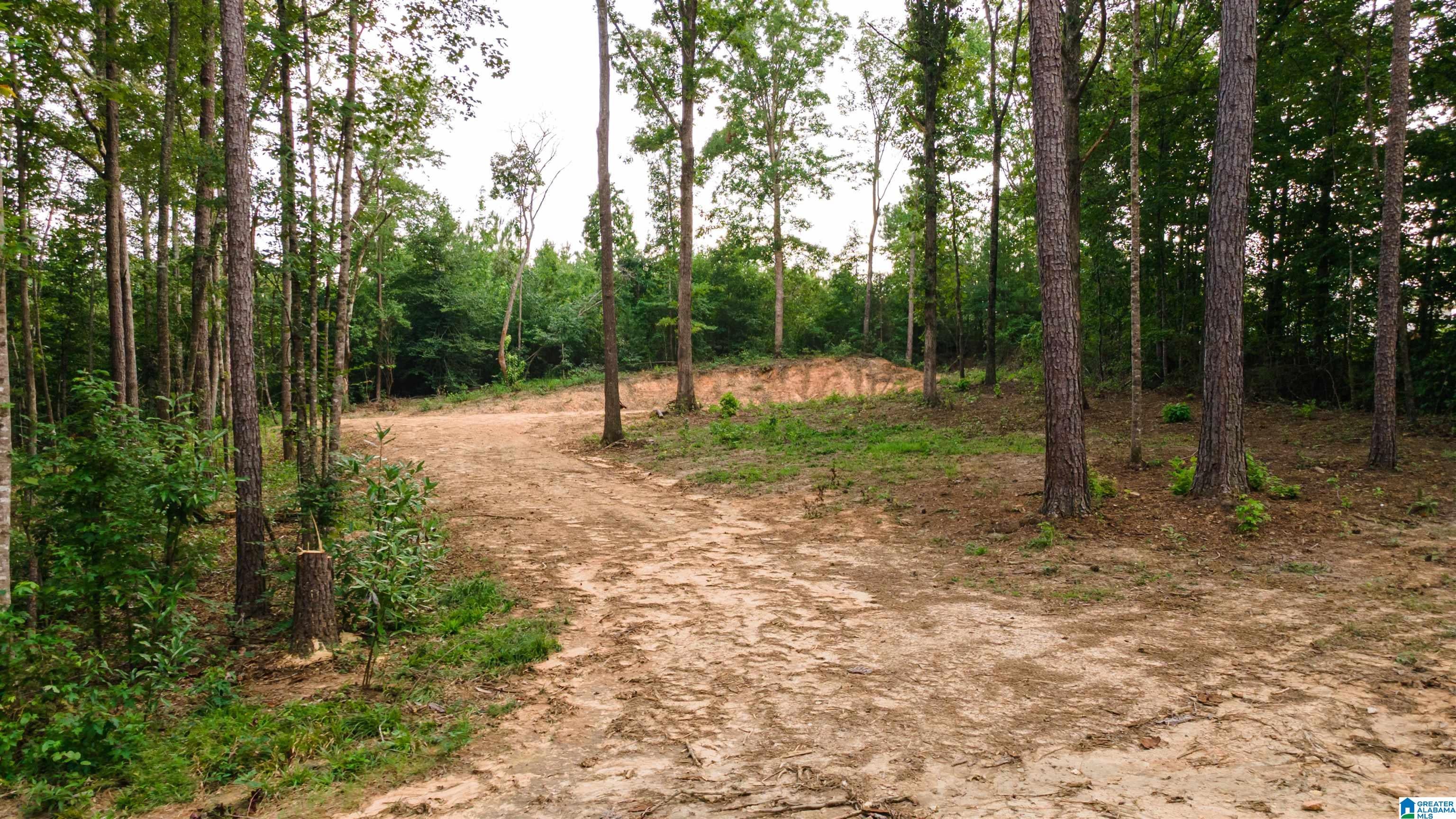 Tract 1 343 COUNTY ROAD 892 Tract 1