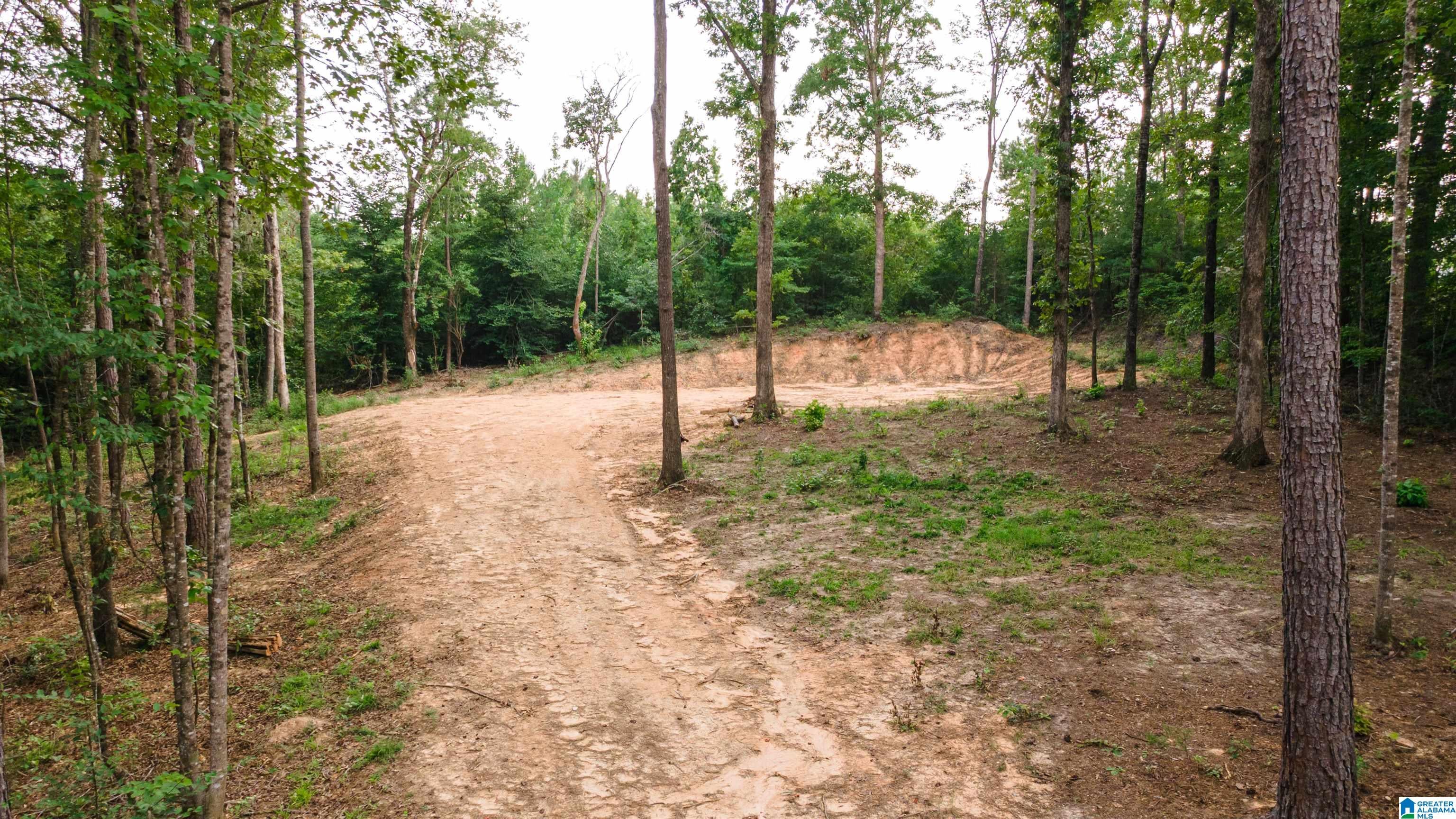 Tract 1 343 COUNTY ROAD 892 Tract 1