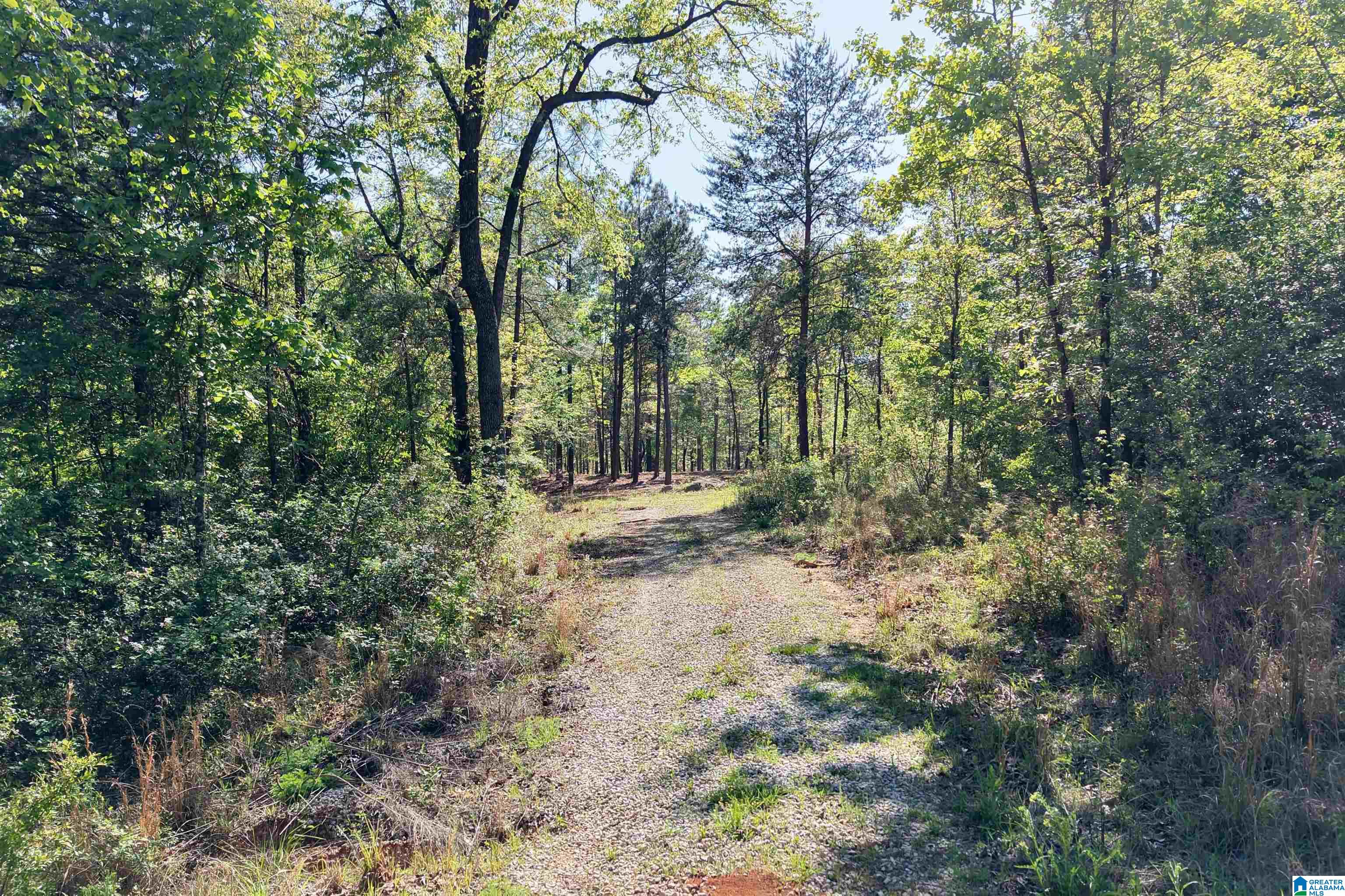 246 SPRING WATER FARMS 2