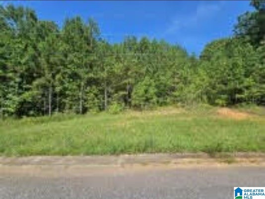 LOT 5 WOODHAVEN DRIVE # 5, PELL CITY, AL 35128 - Image 902c0a6d5106e1ae4dceecedb9349a2f/475042301