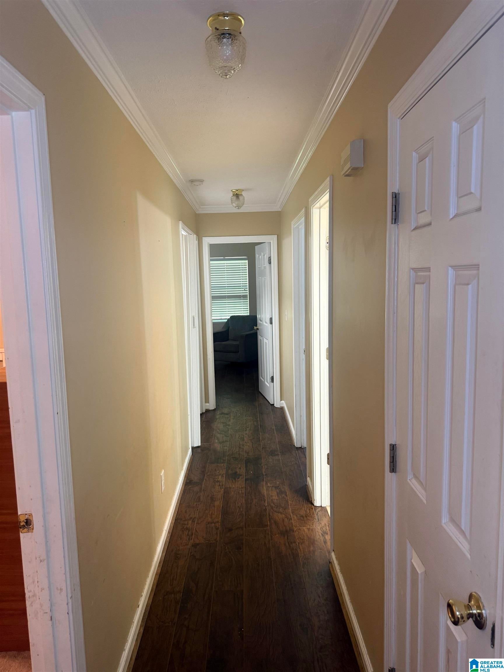 61 RAIN TREE LANE
