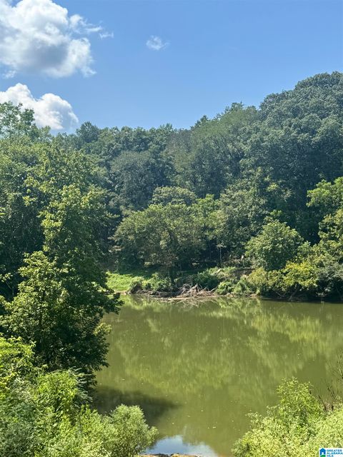 2270 BIRMINGHAM ROAD 3 CENTREVILLE AL 35042