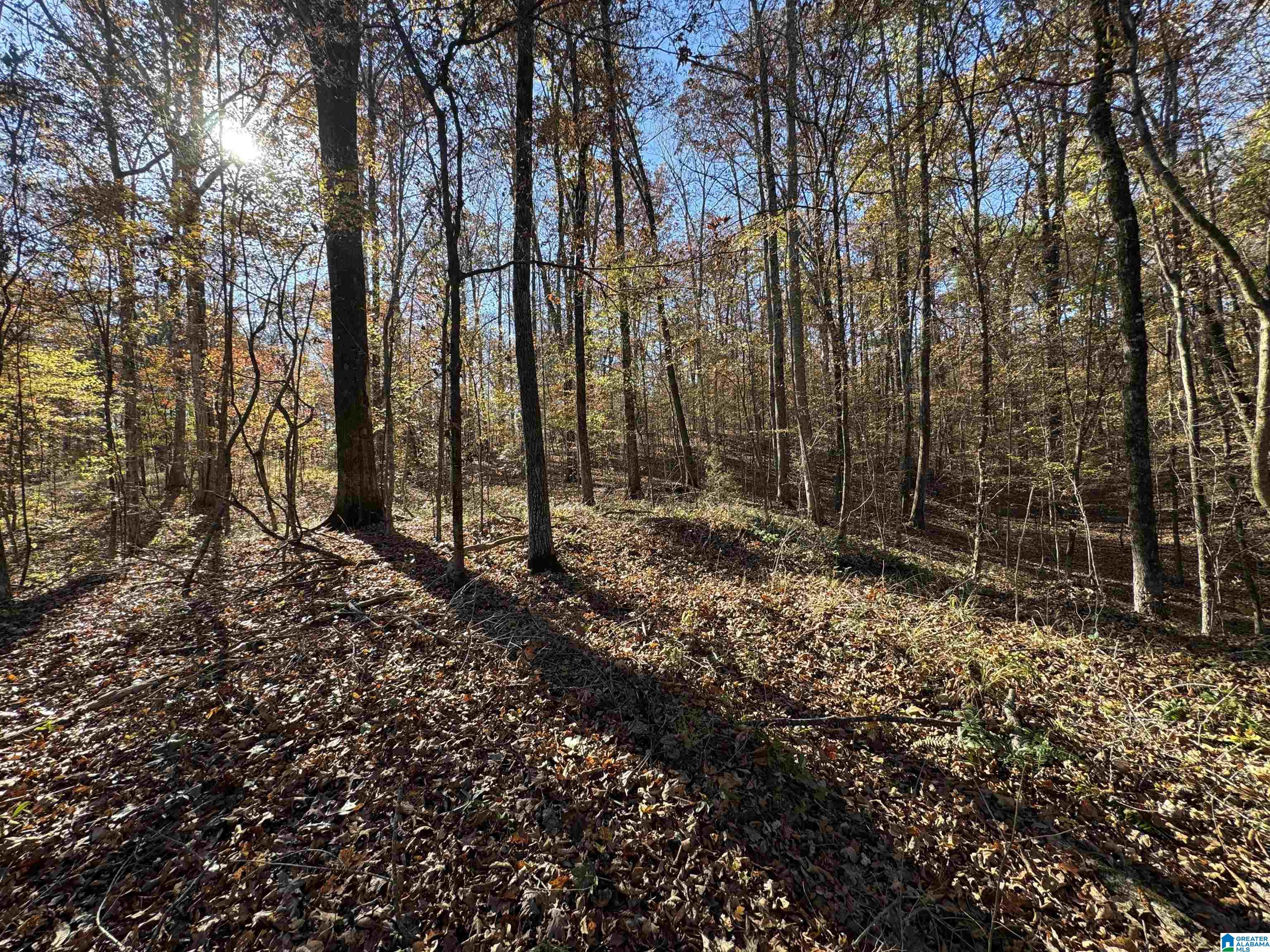 2270 BIRMINGHAM ROAD 3